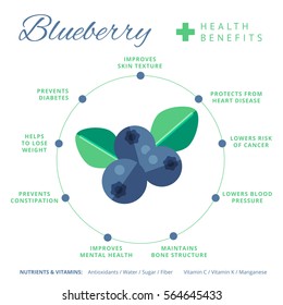 Blueberry Health Benefits And Nutrition Infographics. Superfood Vaccinium Berry Nutrients And Vitamins Information. Healthy Detox Natural Product Info. Flat Vector Organic Food Icon.