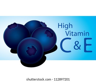 Blueberry  high vitamin C & E vector