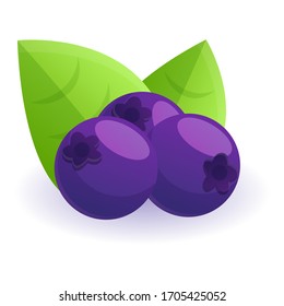 Blueberry icon. Cartoon of blueberry vector icon for web design isolated on white background