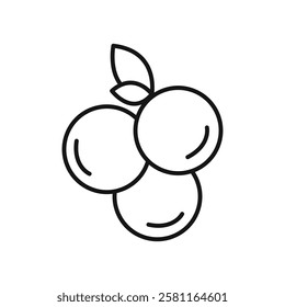 Blueberry icon Flat simple outline