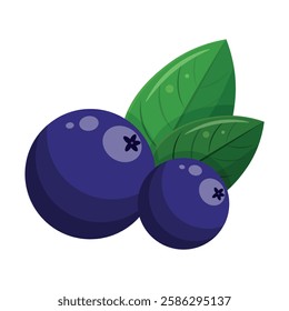 Blueberry icon. Isolated illustration of blueberry on white background. Berries illustration. Fresh and juisy berries.  Colourful design and decoration element. Flat design. Vector illustration.