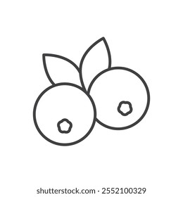 Icono de arándano. Icono de Vector de estilo de línea.