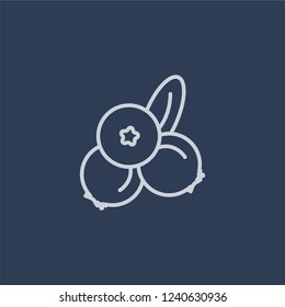 Blueberry icon. Blueberry linear design concept from Agriculture, Farming and Gardening collection. Simple element vector illustration on dark blue background.