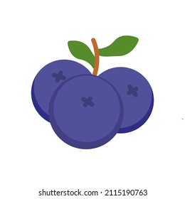 icono del arándano azul logotipo de estilo plano moderno