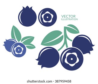 Blueberry icon. Natural fruit vector. Isolated blueberry with leaves on white background. 