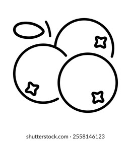 Blueberry icon outline Fruit isolate illustration vector