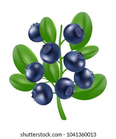 Blueberry icon. Realistic 3d vector image