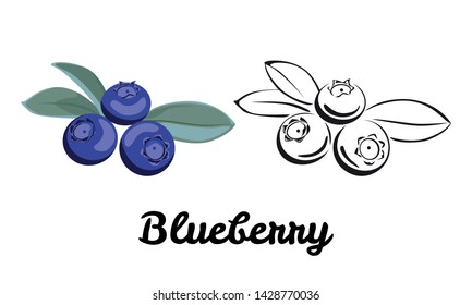 Blueberry Icon Set Isolated On White Background. Flat Illustration Of Berry With A Green Leaf. Color And Black And White Contour Image. Vector Outline And Silhouette.