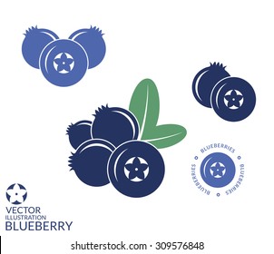 Blueberry. Icon set. Isolated blueberry on white background