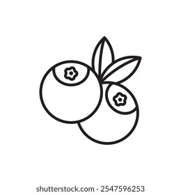 Blueberry icon Vector flat thin line illustration