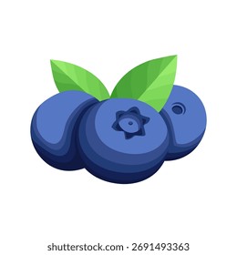 Icono de arándanos. Ilustración vectorial de arándanos