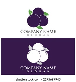 blueberry icon vector illustration template design