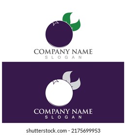 blueberry icon vector illustration template design