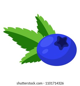 Blueberry Illustration - Blueberry and mint leaves isolated on white background