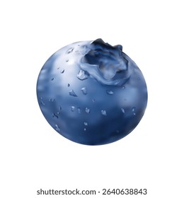 blueberry illustration on white background vol 01