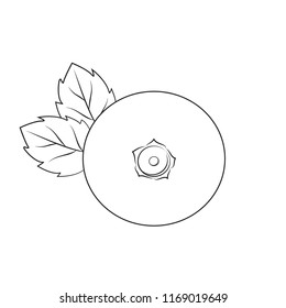 Blueberry illustration. Vector