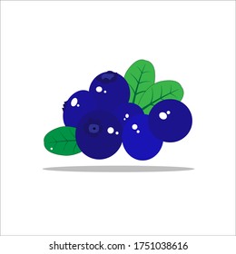 Ilustración de Blueberry - Ilustración vectorial