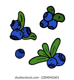 Blueberry Isolated doodle vector illustration. Concept of summer, fruits, berries and healthy food. Objects for icon, menu, cover, print, poster, cards, web element, social media, card for children.