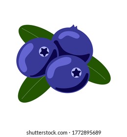 Blueberry isolated on white background. Blueberry flat icon.