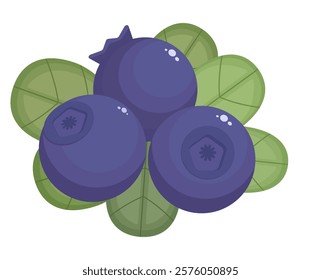 Blueberry isolated on a white background. Violet berries and green leaves in flat style. Vector illustration, colored icon, design element.