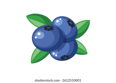 Blueberry isolated on a white background. Fruit blueberry illustration.