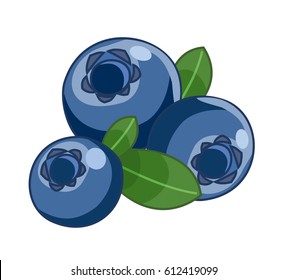 Blueberry isolated on white background. Vector illustration.