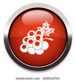 blueberry isolated vector icon