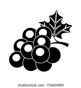 blueberry isolated vector icon