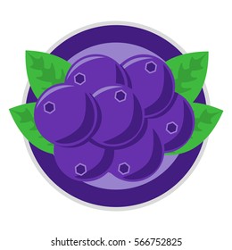 Blueberry for label.