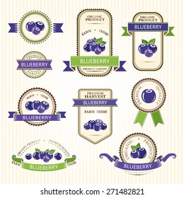 Blueberry labels. Fruits badges and stickers collection.