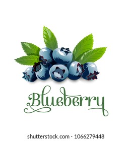 Blueberry, leaves and berries isolated on white background. Vector illustration.