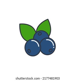 Blueberry with leaves color line icon isolated object. Forest blue berries with leaves. Blueberry harvest, vector illustration