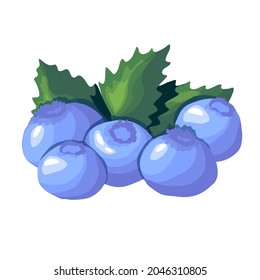 Blueberry with leaves isolated on white background. Forest seasonal huckleberries vector illustration.
