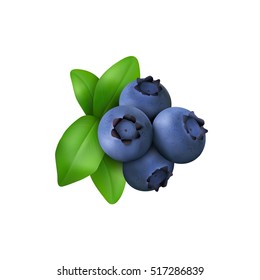 Blueberry with leaves  isolated on white background. Realistic Vector illustration