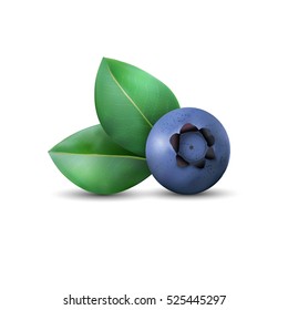 Blueberry and leaves with shadow isolated on white background. Realistic Vector illustration