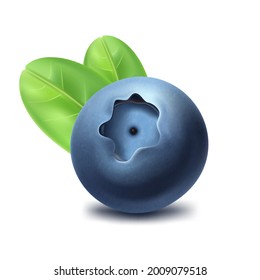 Blueberry with leaves, wild berry, ripe, juicy fruit, healthy food. Vector icon.