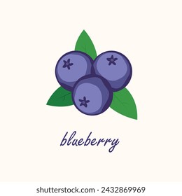 Blueberry with lesves, vector illustration 