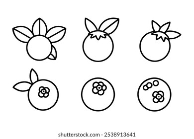 Blueberry line art illustration for nature-inspired artwork