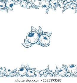 Blueberry line art illustration for product and packaging design. Perfect for labels, branding, and decorative elements.