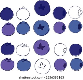 
Blueberry line graphic icon set. vector illustration.
