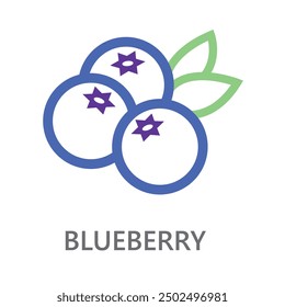 blueberry, blueberry line icon vector illustration.	 Line vector icon on white background. High quality design element. Editable linear style stroke. Vector icon.