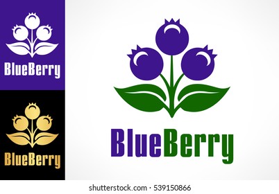 blueberry logo