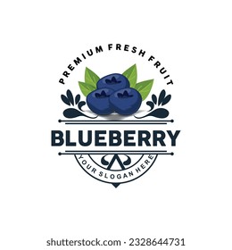 Blueberry Logo, Garden Farm Fresh Fruit Vector, Elegant Simple Design, Symbol Illustration Template