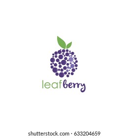 Blueberry Logo, Icon, Sign Illusration Template Vector Design