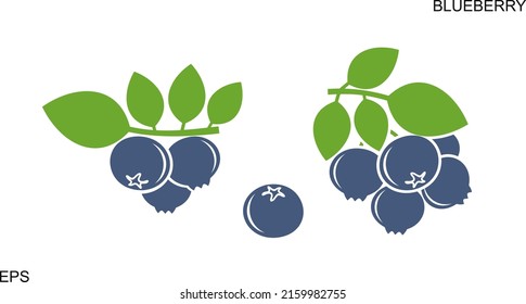 Logo de Blueberry. Arándano azul aislado sobre fondo blanco