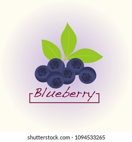 blueberry logo with text for product.vector illustration.