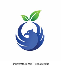 blueberry logo that formed the phoenix