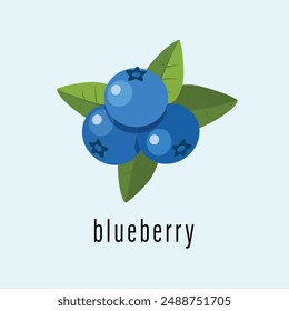 blueberry logo vector template. blueberry in flat card