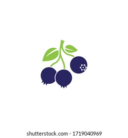 Blueberry logo vector template icon illustration design