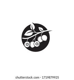 Blueberry-Logo, Vektorgrafik-Symboldesign